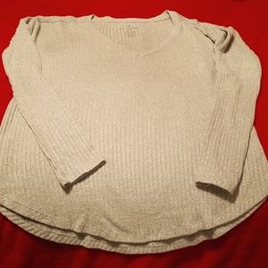 Soft & Sexy V-Neck, Long sleeve, pullover top, blue tinted color. Size small